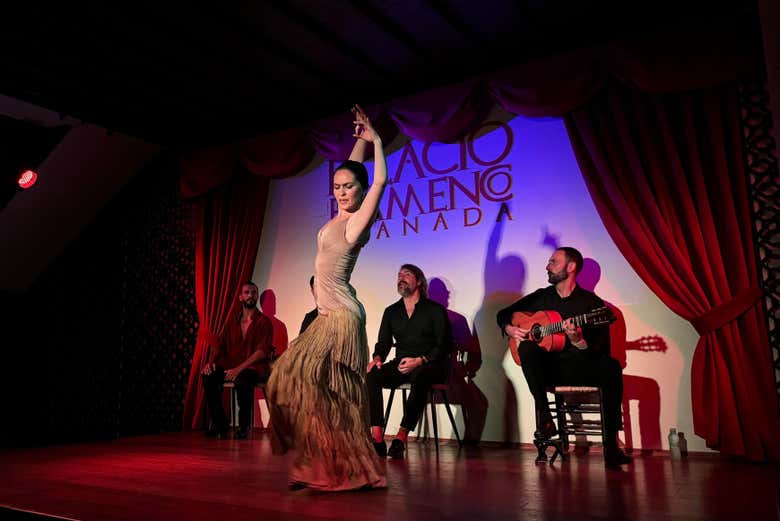 Benvenuti a Palacio Flamenco!