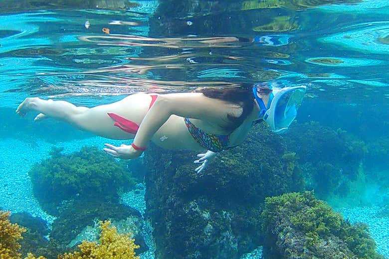 Praticando snorkeling