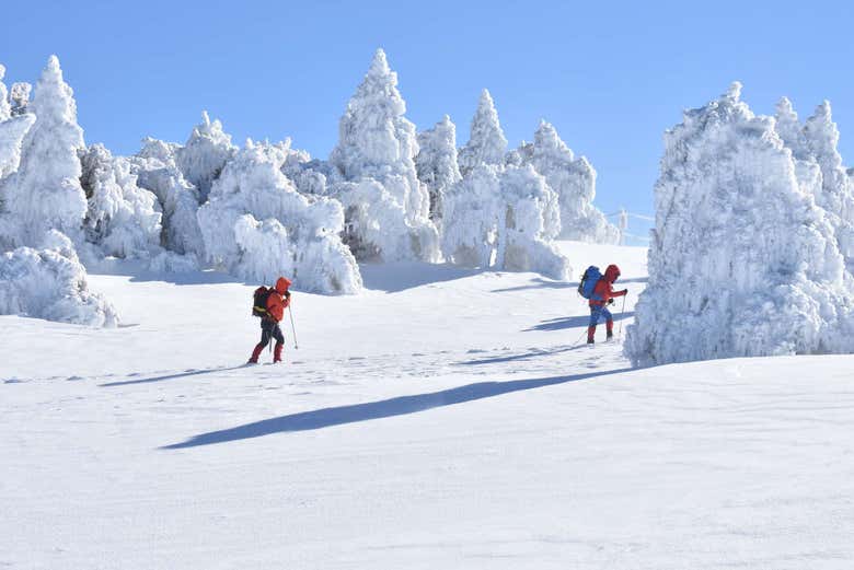 Passeggiata con le racchette da neve sulla Sierra Nevada