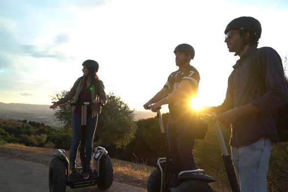 Tour di Granada in segway